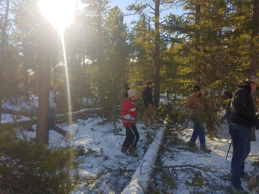1211211352_HDR-scaled.jpg