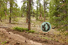 P1140858-scaled.jpg